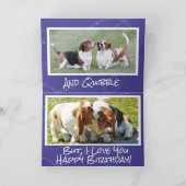 Schattige & Grappig Verjaardag Kaart w/Basset Houn (Binnen)