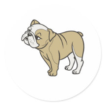 Schattige Grappig Zittende Bulldogs