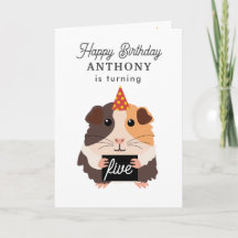 Schattige Grappige Cavia Huisdier Kinderen Verjaar