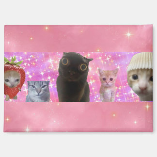 schattige grappige etherische meme kat glinsterend magneet