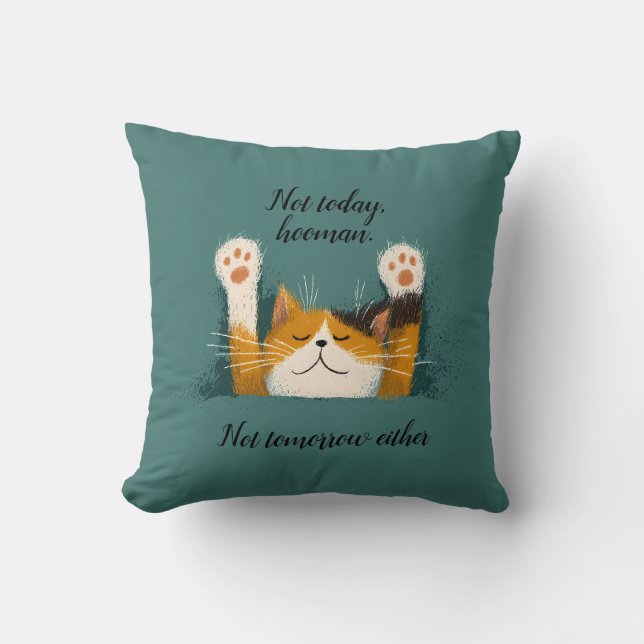 Schattige Grappige Kat Slaap Kussen (Voorkant)
