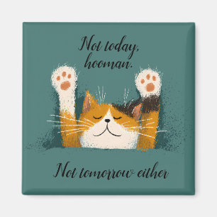 Schattige Grappige Kat Slap Magneet