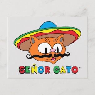 Schattige Grappige Kleurrijke Cartoon Kat Cinco de Briefkaart