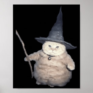 Schattige Grappige Tovenaar Kat Rare Kitten Kat Me Poster