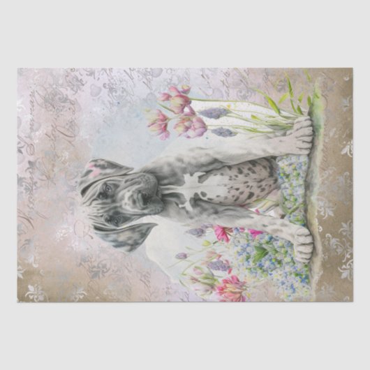Schattige Great Dane Puppy Dog Tissue Papier (Voorkant)