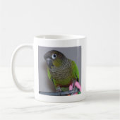 Schattige Greencheek Conure Koffiemok (Links)