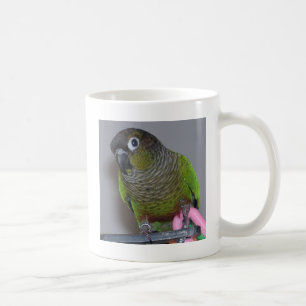Schattige Greencheek Conure Koffiemok