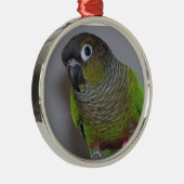 Schattige Greencheek Conure Metalen Ornament (Rechts)