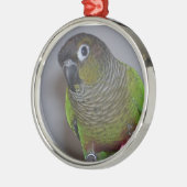 Schattige Greencheek Conure Metalen Ornament (Links)
