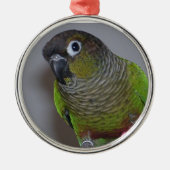 Schattige Greencheek Conure Metalen Ornament (Voorkant)