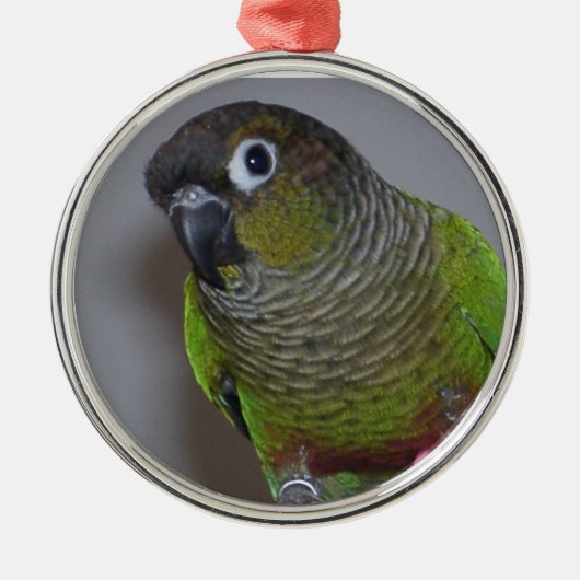 Schattige Greencheek Conure Metalen Ornament (Voorkant)