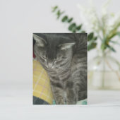Schattige Grey Sleepy Tabby Kat Briefkaart (Staand voorkant)