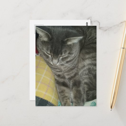 Schattige Grey Sleepy Tabby Kat Briefkaart (Voorkant / Achterkant in situ)