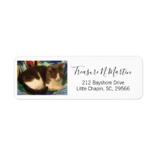 Schattige grijs en wit huis kattenfoto etiket