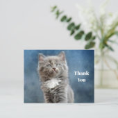 Schattige grijs en wit kitten foto Dank u Briefkaart (Staand voorkant)