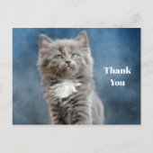 Schattige grijs en wit kitten foto Dank u Briefkaart (Voorkant)