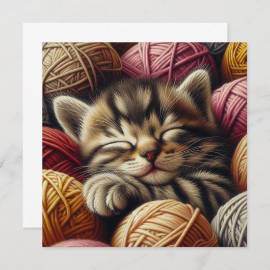 Schattige Grijs Kitten Napping in Balls of Yarn (Voorkant / Achterkant)