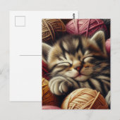 Schattige Grijs Kitten Napping in Balls of Yarn Briefkaart (Voorkant / Achterkant)