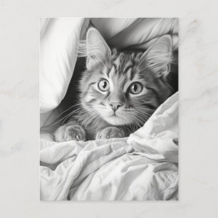 Schattige Grijs Tabby Cat Briefkaart