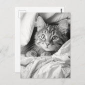 Schattige Grijs Tabby Cat Briefkaart (Voorkant / Achterkant)