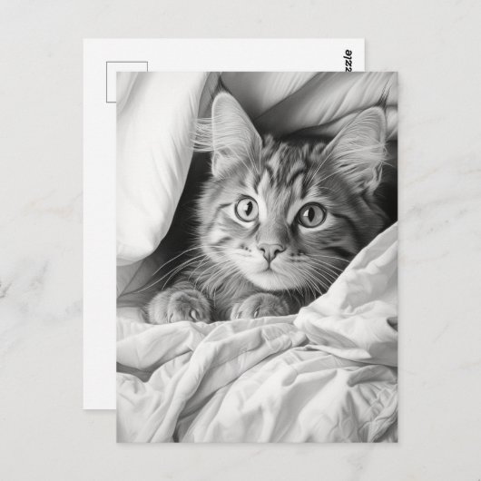 Schattige Grijs Tabby Cat Briefkaart (Voorkant / Achterkant)