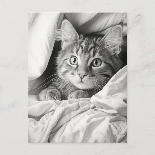 Schattige Grijs Tabby Cat Briefkaart (Voorkant)