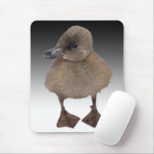 Schattige grijze dekletfoto muismat (Met muis)