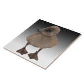 Schattige grijze dekletfoto tegeltje (Zijkant)