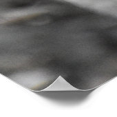 Schattige grijze eekhoorn poster (Hoek)