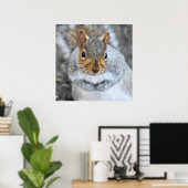 Schattige grijze eekhoorn poster (Thuiskantoor)