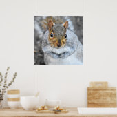 Schattige grijze eekhoorn poster (Keuken)