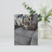 Schattige grijze gestreepte kat briefkaart (Staand voorkant)