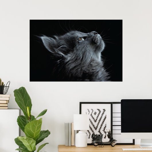 Schattige grijze keuken met groene ogen poster (Thuiskantoor)