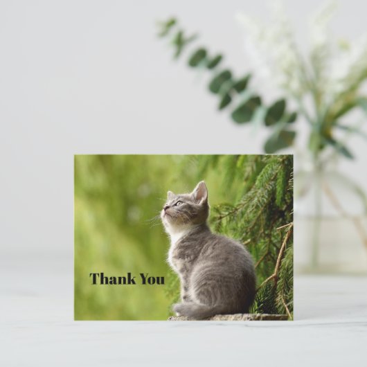 Schattige Grijze Kitten Omhoog Kijkend Foto Bedank Briefkaart (Staand voorkant)