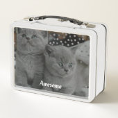 Schattige Grijze Kitties Katten (Achterkant)