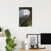 schattige grijze papegaai poster (Thuiskantoor)