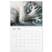 Schattige grijze tabbies 2022 Kalender (Mar 2026)