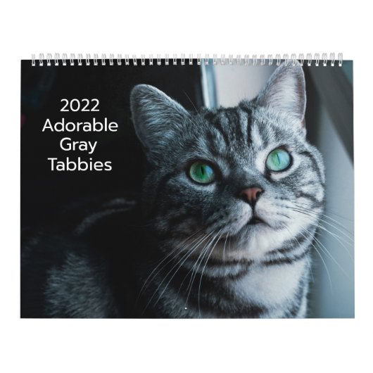 Schattige Grijze Tabbykatten 2022 Kalender (Hoes)