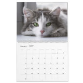 Schattige Grijze Tabbykatten 2022 Kalender (Jan 2027)