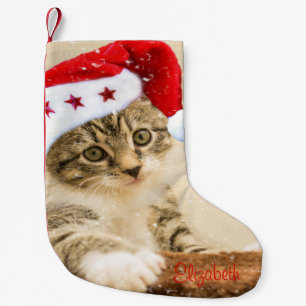 Schattige grillige kat met kerstmanhoed kleine kerstsok