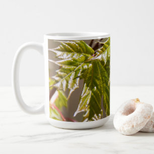 Schattige groene esdoorntak met kleine bladeren koffiemok