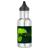 Schattige Groene Kameleon Illustratie Tropisch Rep Waterfles (Links)