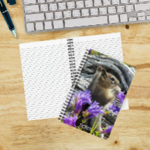 Schattige Grondsquirrel en Wilde Bloemen Natuurfot