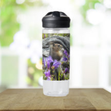 Schattige Grondsquirrel en Wilde Bloemen Natuurfot