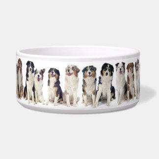 Schattige Grote Bowl voor de Australian Shepherd. Voerbakje