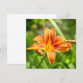 Schattige grote lelie bloem foto (Voorkant / Achterkant)