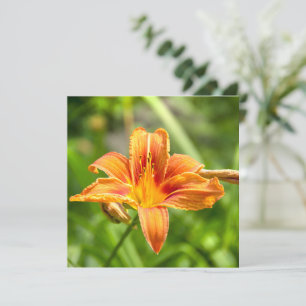 Schattige grote lelie bloem foto