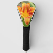 Schattige grote lelie bloem foto