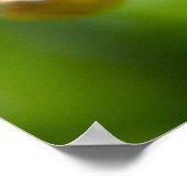 Schattige grote lelie bloem foto poster (Hoek)
