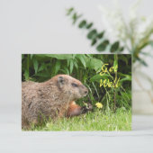 Schattige Groundhog Picking Flowers WORDEN GOED (Staand voorkant)